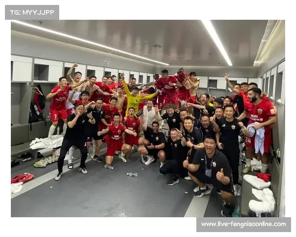 球场安全与球迷文化,意甲多举措维护赛场秩序。