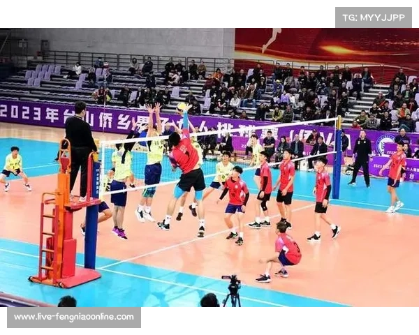 “侨VA”赛事吸引超200万人次线上观赛