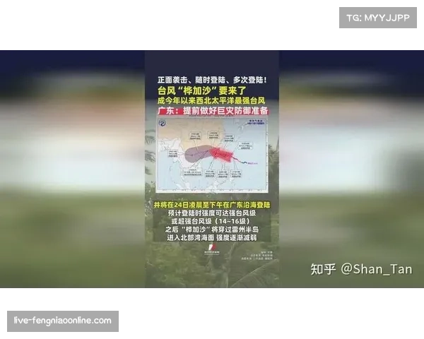 分析:伤病潮席卷多支意甲争冠球队,医疗团队面临压力